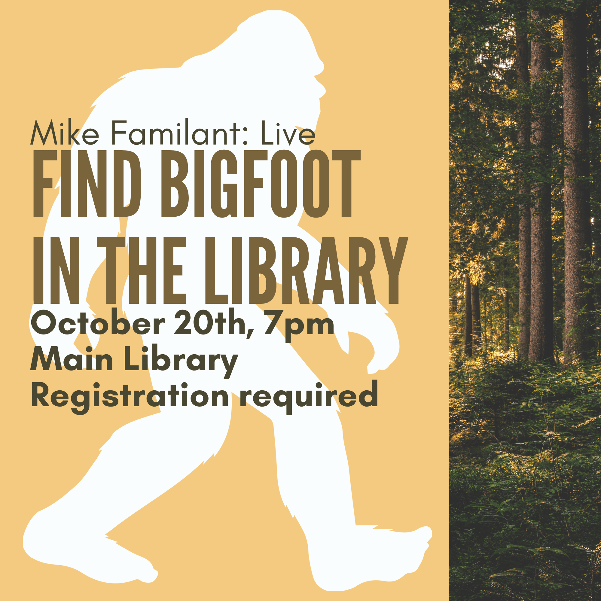 FIND BIGFOOT IN THE LIBRARY