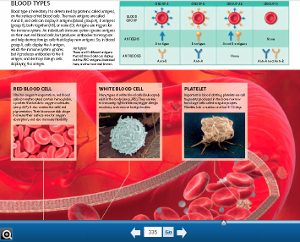 eBook Page on Blood Types